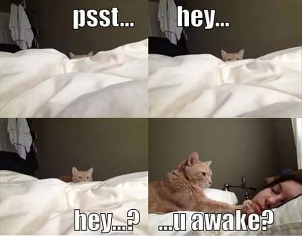 Psst