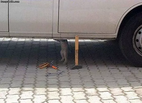 Mechanic
