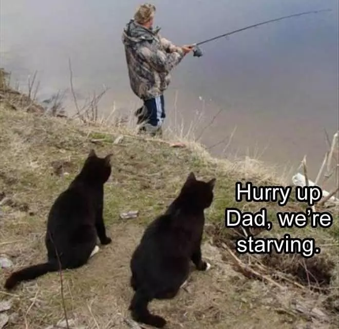 Hurry Up Dad