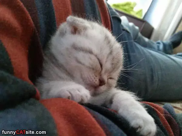 So Sleepy Today