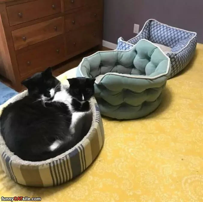 Sharing Our Bed