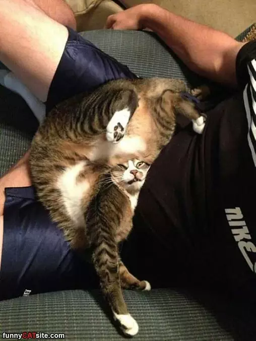 I Sleep Where Iwant