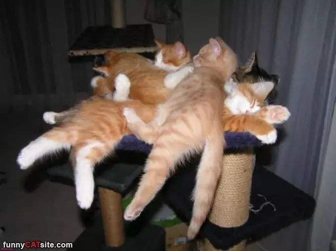 And Here We Have A Pile
