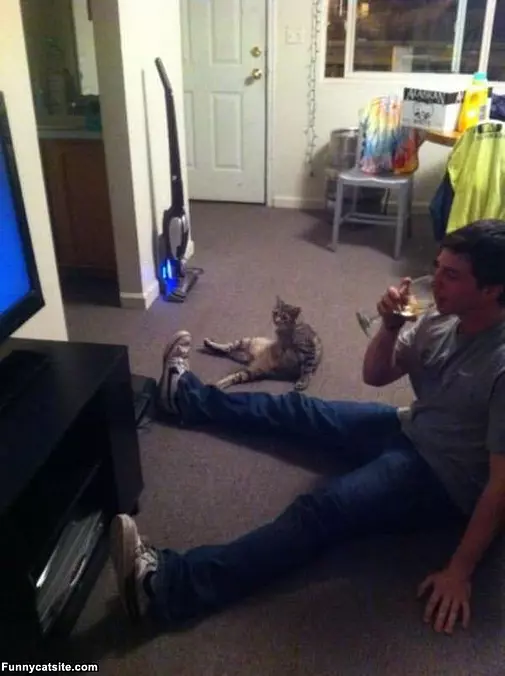 Just Watching Tv Together