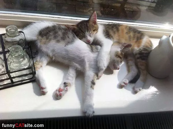 Chilling Together