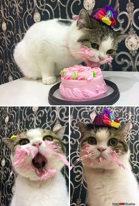 Nommmmmmmm