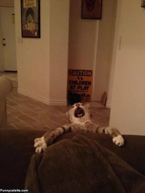 Im Fallllling
