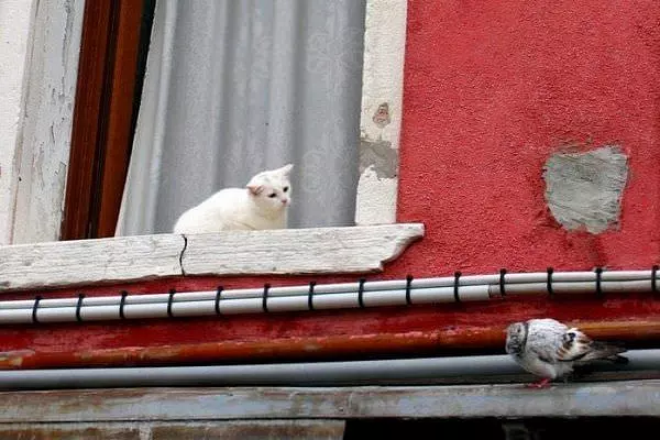 How Do I Get There