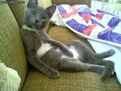 Chillaxing