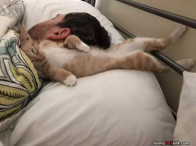 I Am A Pillow Now