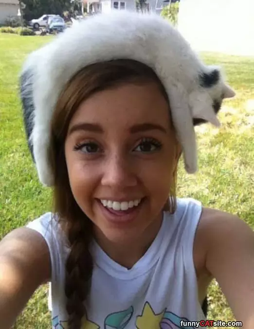 A Cat And A Hat