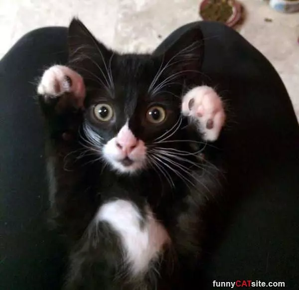 Hands Up