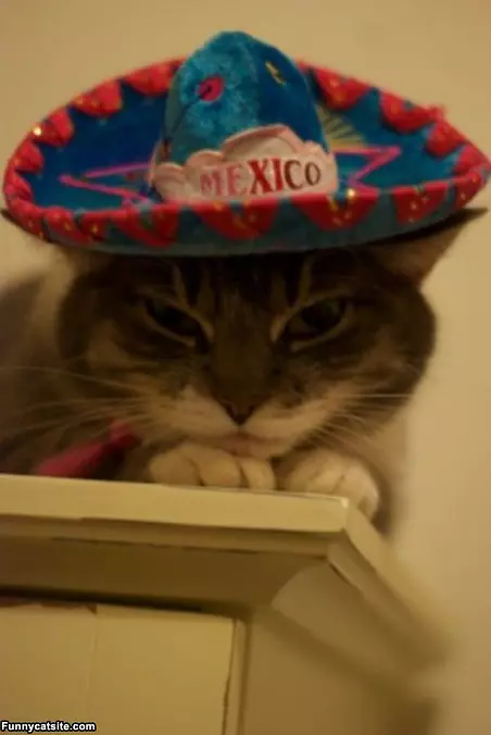 Viva La Mexico