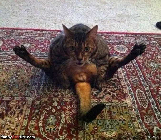 Whaaaaaaa