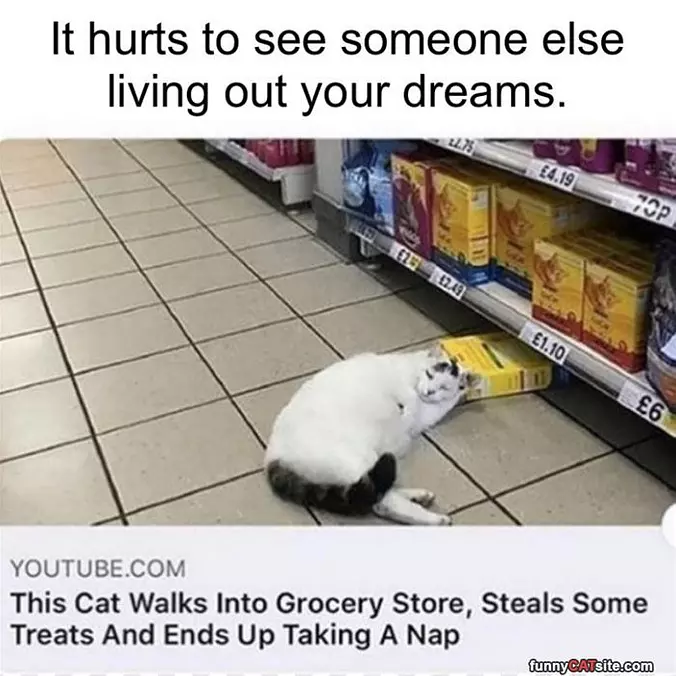 Living My Dreams