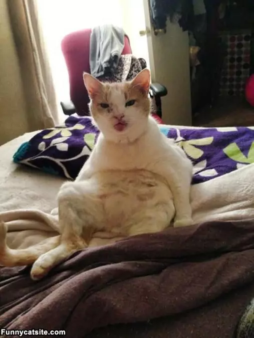 Just Chillaxin