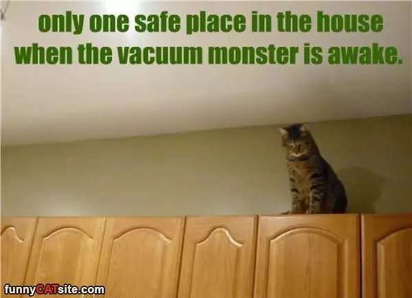 Only One Place Safe
