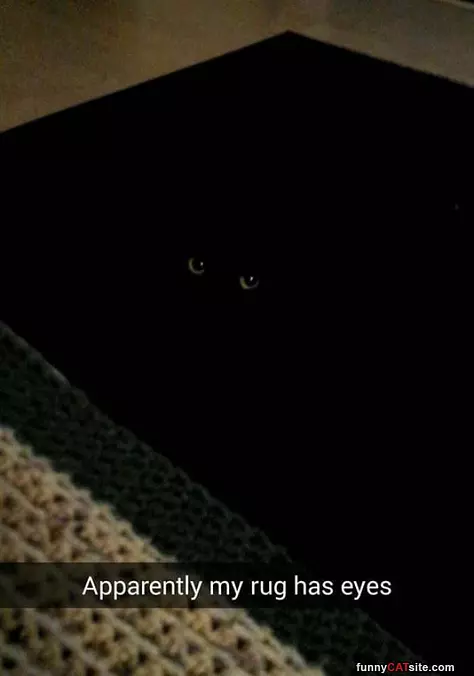 My Rug Has Eyes