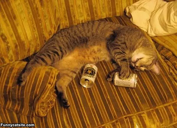 One Too Many