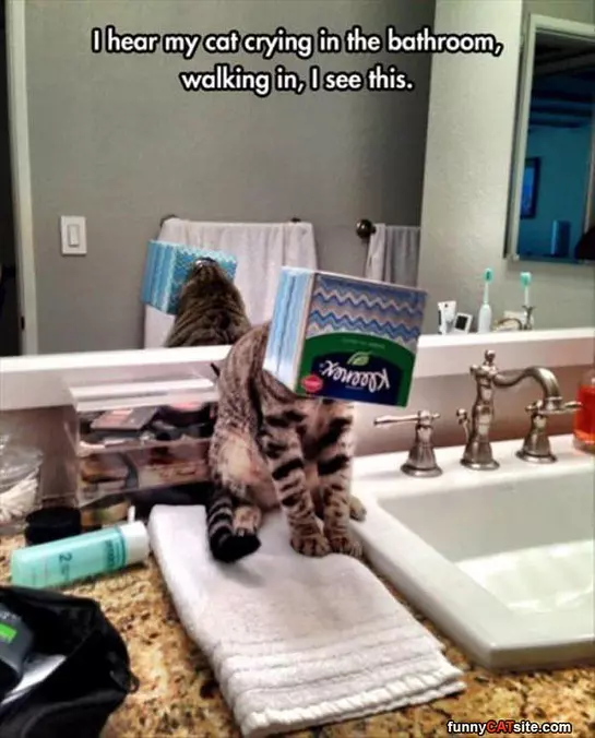 I Am So Stuck