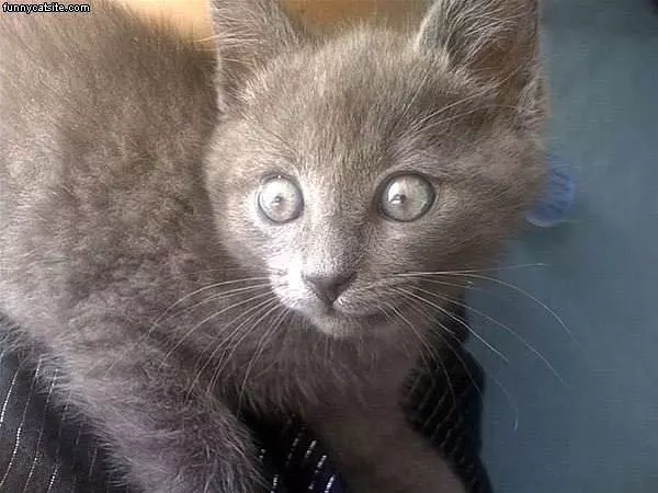 Eyes Lit Up