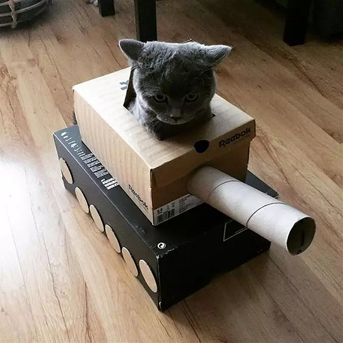 I Am The Tank Cat