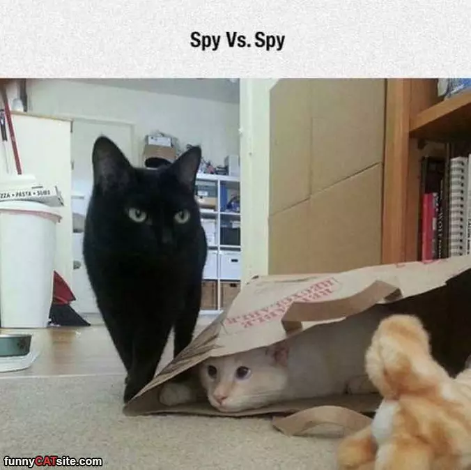 Spy Vs Spy