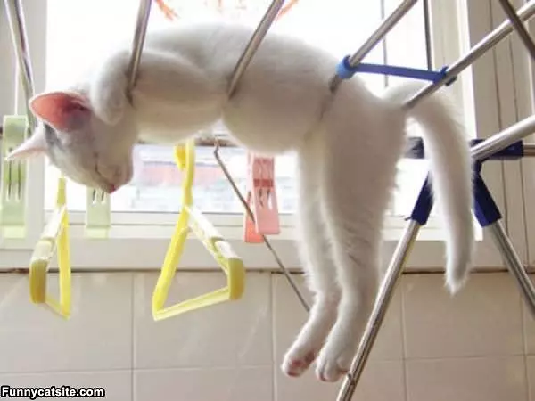 Sleeping On The Rack