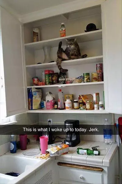Woke Up To This Today