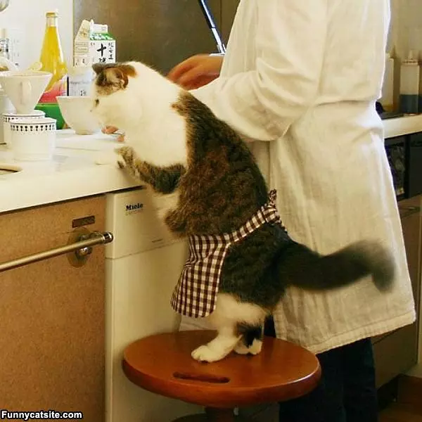Helping With Cooking
