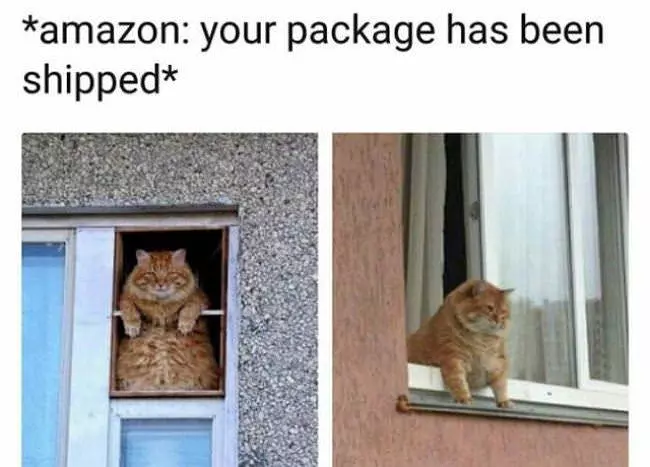 You Know What I Want