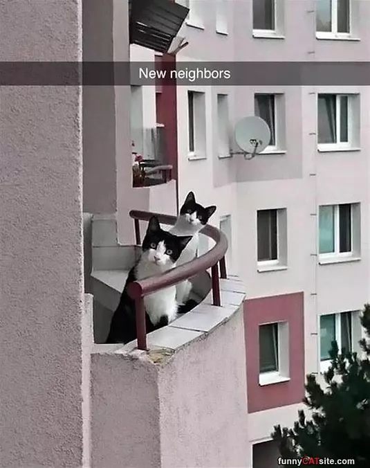 New Neighbors