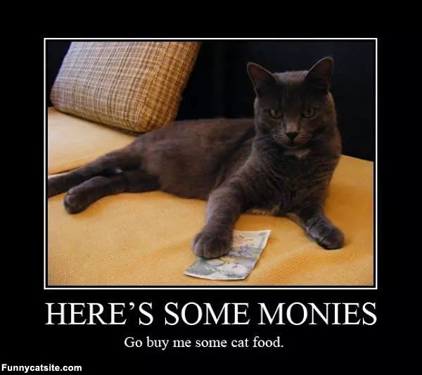 Some Monies