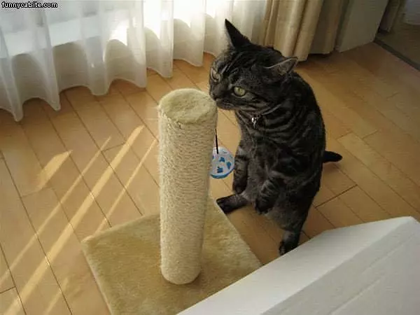 Inspection