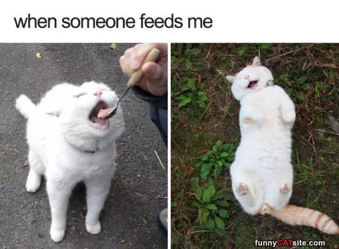 When Someone Feeds Me