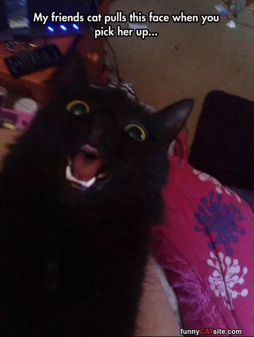 Makes This Face