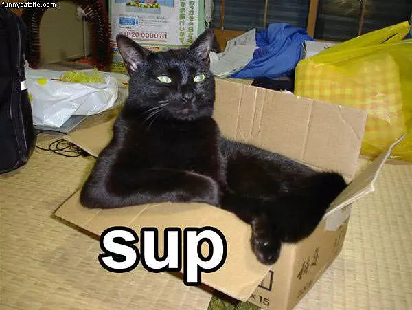 Sup