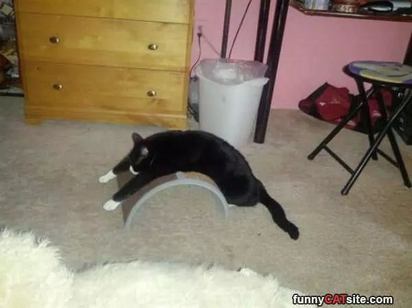 Doing My Cat Yoga