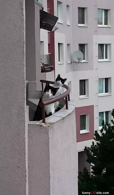 We Are Watching You