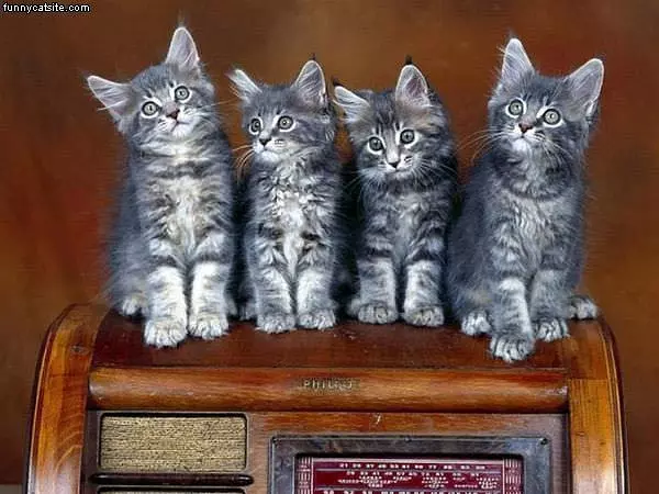 4 Of Them