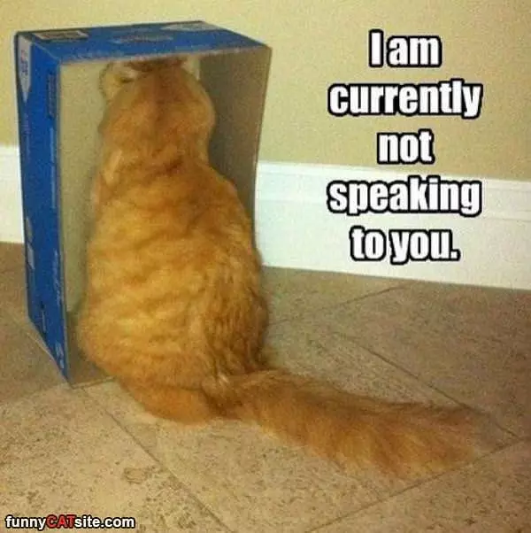 Not Speaking To You