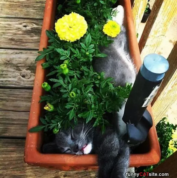 I Fit Perfectly