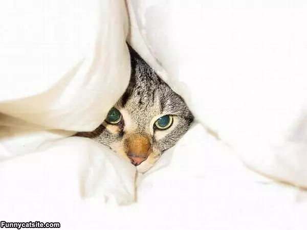 Nobody Can See Me