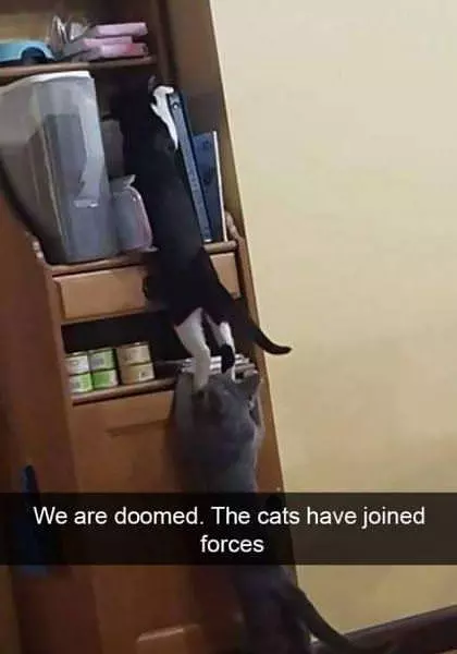 We Are All Staying Warm Here