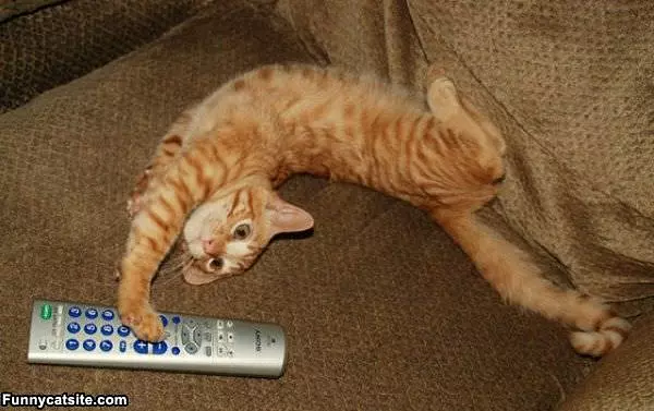 Super Stretch