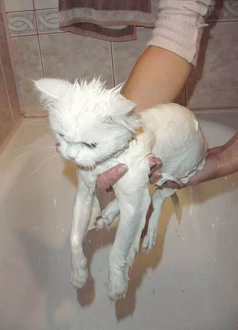 Needed A Wash