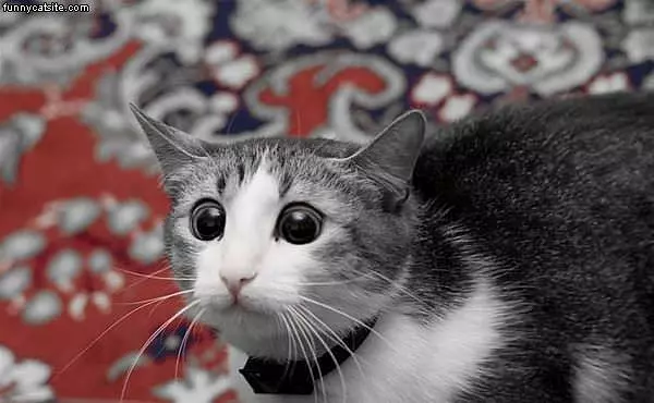 Weirded Out
