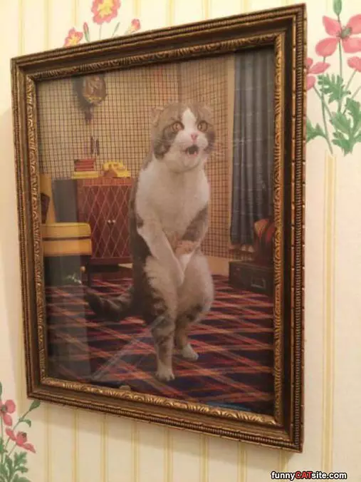 Amazing Artwork