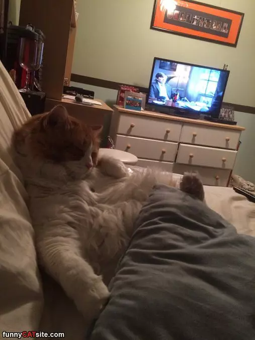 Sooo Darn Relaxing