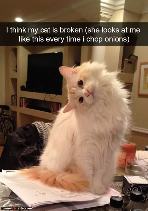 Onion Chopper